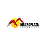 Fans Macroplaza Insurgentes